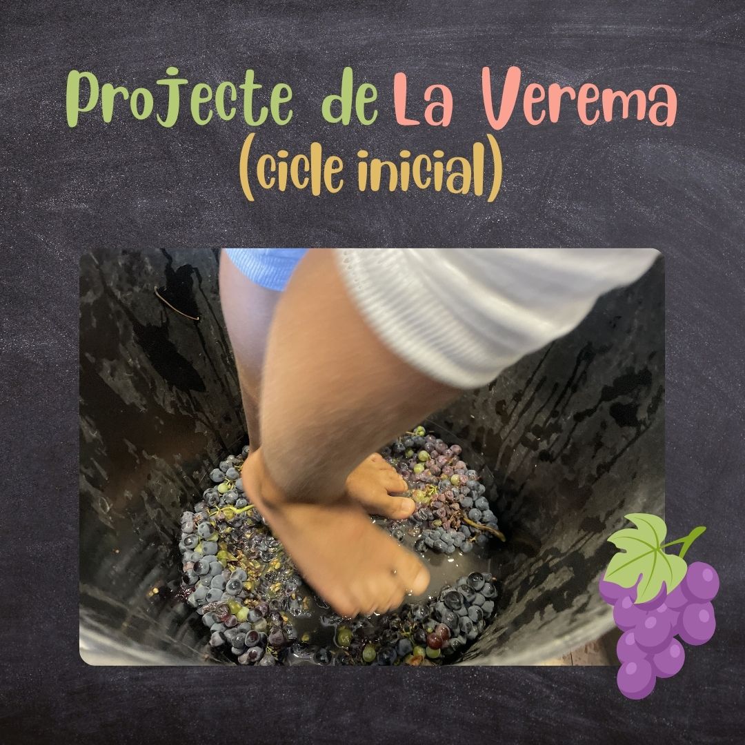 Verema Cicle Inicial